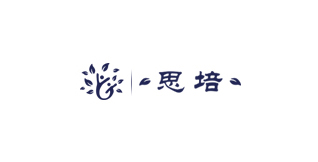 石家莊教育學校網站建設